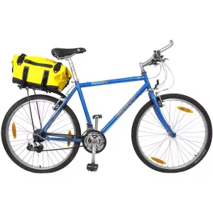 bike travel fitness bag